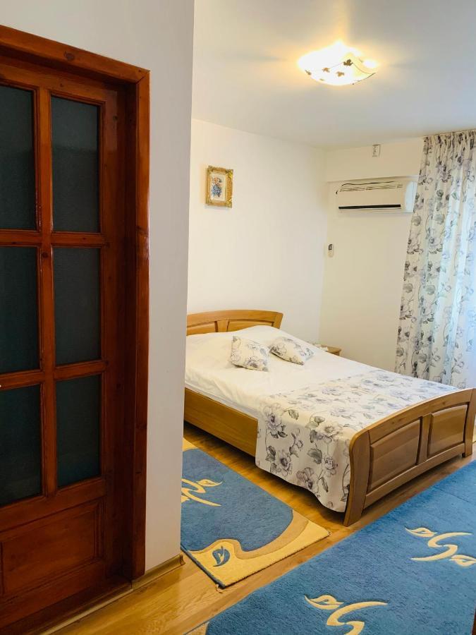 Hotel Alex & Maria Cărpinişu Esterno foto