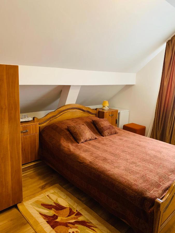 Hotel Alex & Maria Cărpinişu Esterno foto