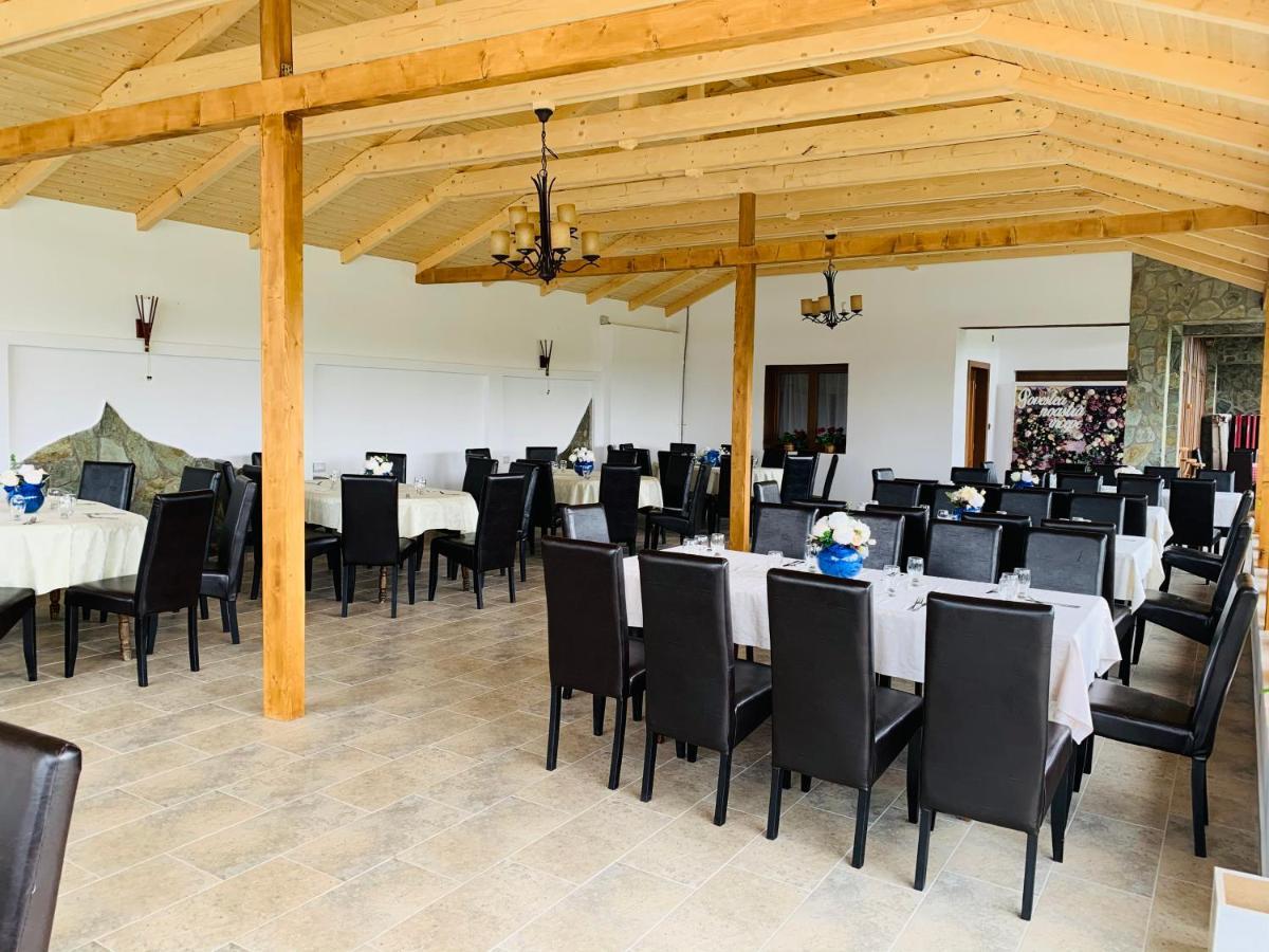 Hotel Alex & Maria Cărpinişu Esterno foto