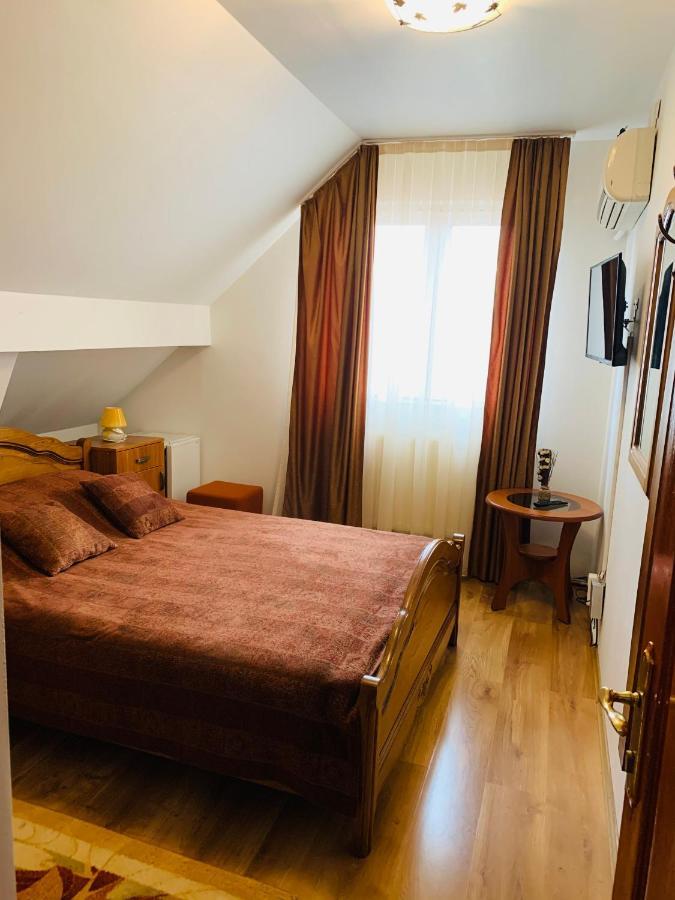 Hotel Alex & Maria Cărpinişu Esterno foto