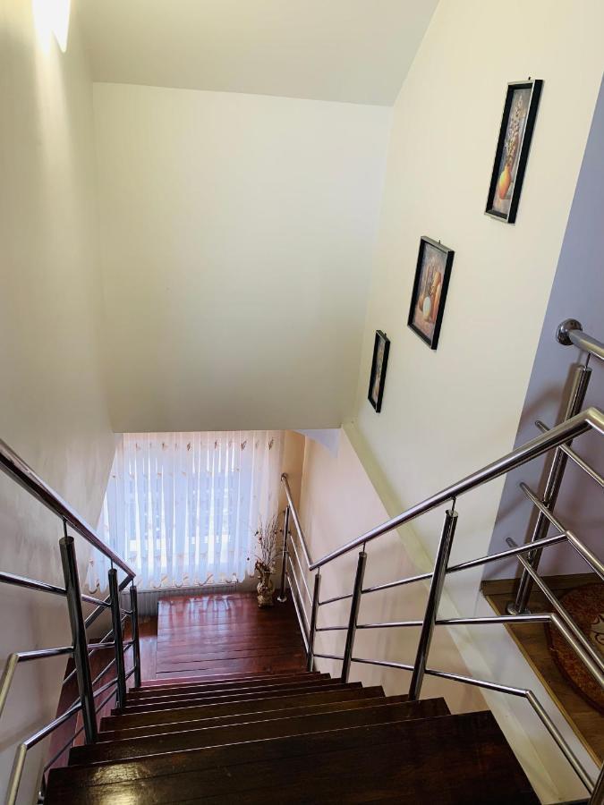 Hotel Alex & Maria Cărpinişu Esterno foto