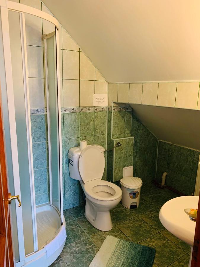 Hotel Alex & Maria Cărpinişu Esterno foto