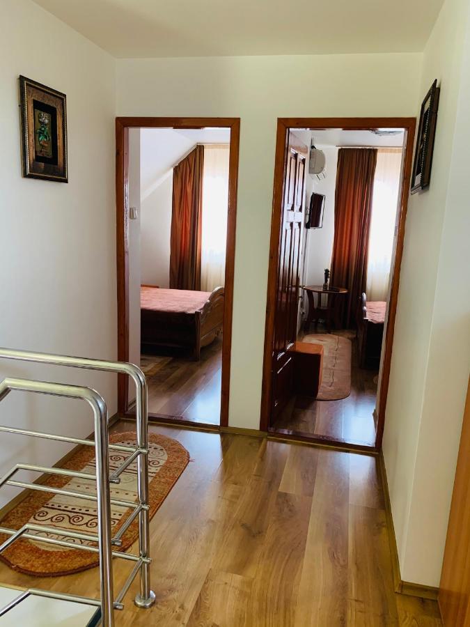 Hotel Alex & Maria Cărpinişu Esterno foto