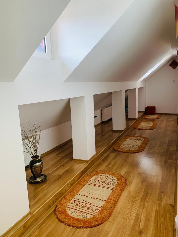 Hotel Alex & Maria Cărpinişu Esterno foto