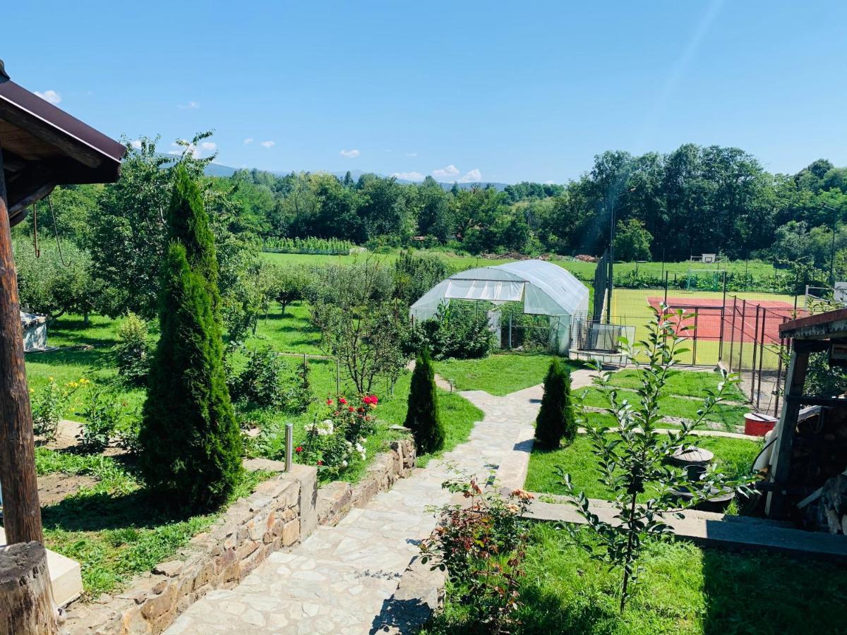 Hotel Alex & Maria Cărpinişu Esterno foto