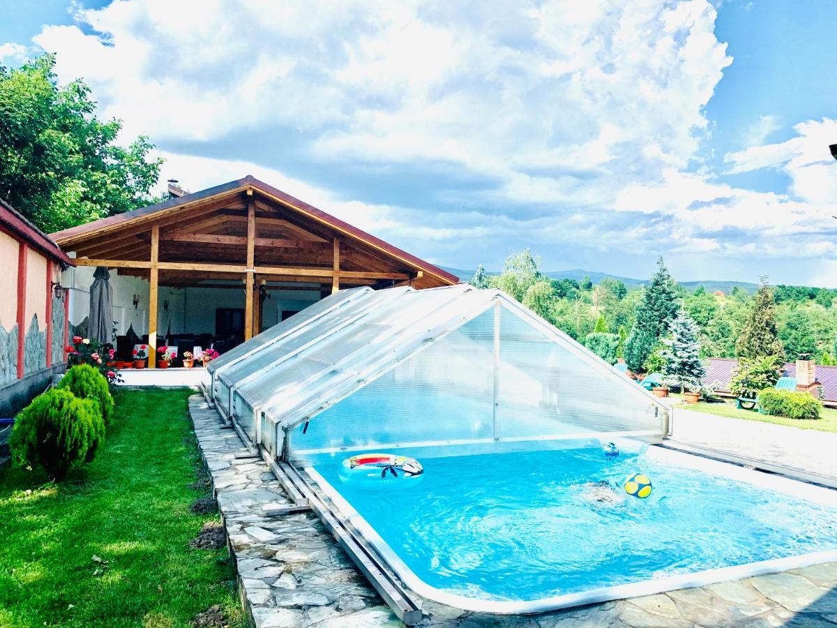 Hotel Alex & Maria Cărpinişu Esterno foto