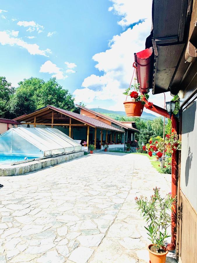 Hotel Alex & Maria Cărpinişu Esterno foto