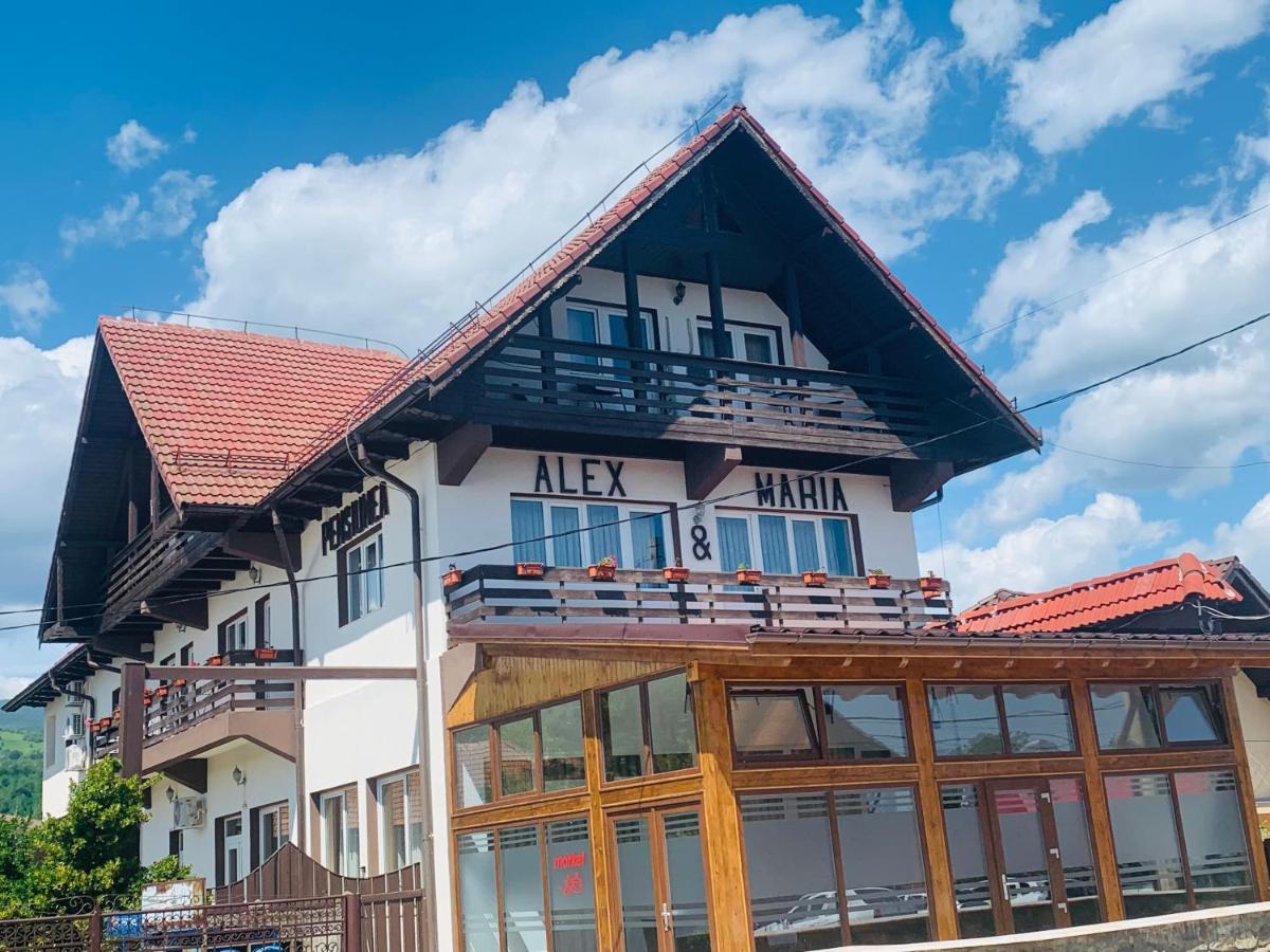 Hotel Alex & Maria Cărpinişu Esterno foto